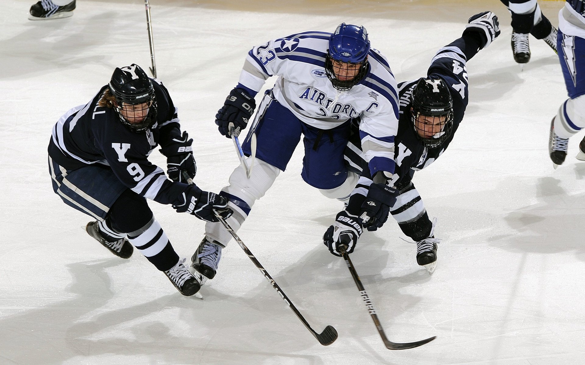 法国队观众热烈欢呼！西亚卡姆迎来十赛季出色发挥赢得满堂喝彩